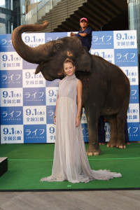 土屋アンナと象のノランディ