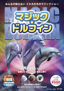 映画『マジックドルフィン』ポスター