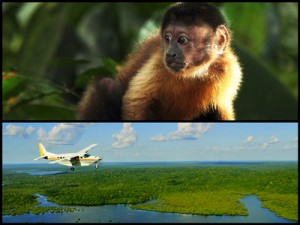 映画『アマゾン大冒険 世界最大のジャングルを探検しよう！』