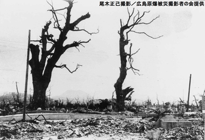原爆投下後、人々に親しまれていた大クスノキ。