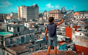 映画『ビヘイビア／Behavior』（エルネスト・ダラナス・セラーノ監督）