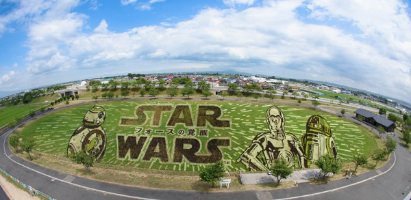 スター・ウォーズ、田んぼアート