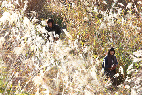すすきが原を歩む神木隆之介×門脇麦、映画『太陽』（入江悠監督）より