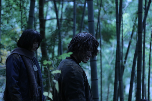 樹海にたたずむ神木隆之介×門脇麦、映画『太陽』（入江悠監督）