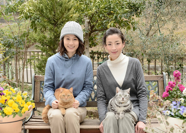 宮沢りえと前田敦子、WOWOW連続ドラマW「グーグーだって猫である2 - good good the fortune cat - 」