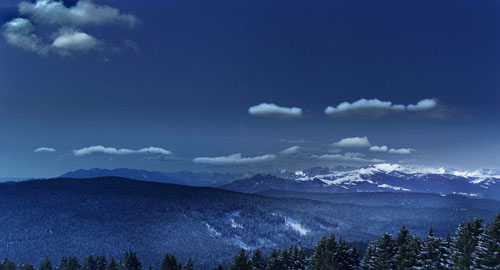 映画『緑はよみがえる』（エルマンノ・オルミ監督）場面写真１