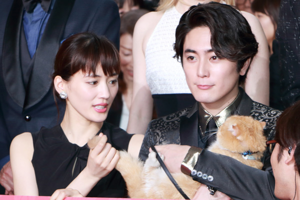 綾瀬はるか、猫のヨシマサのしっぽをなでなで