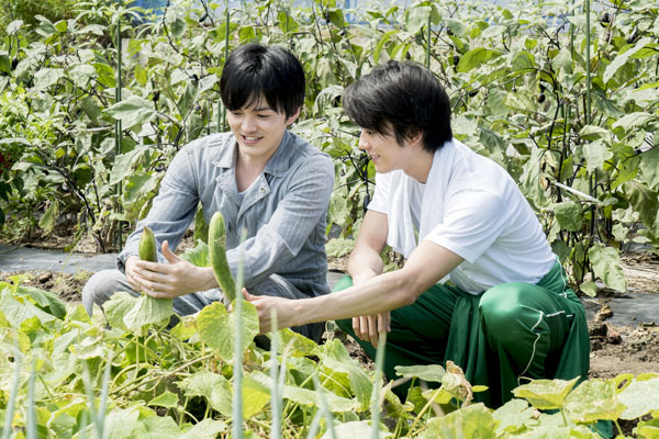 畑に真剣佑と林遣都、映画『にがくてあまい』（草野翔吾監督）