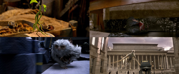 ファンタビのビーストたち（一部）映画『ファンタスティック・ビーストと魔法使いの旅』（デヴィッド・イェーツ監督）より