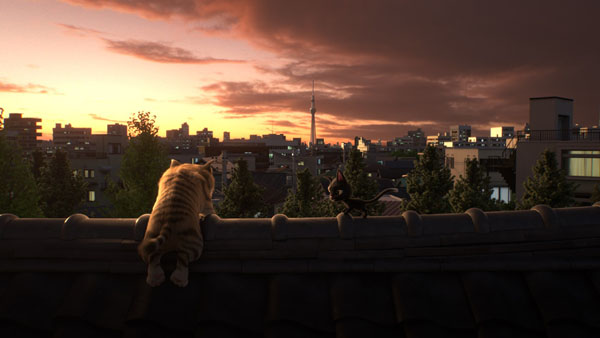 夕焼けにまったりする?! 映画『ルドルフとイッパイアッテナ』より