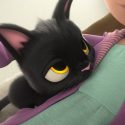 飼い主に甘えるルドルフ、映画『ルドルフとイッパイアッテナ』より