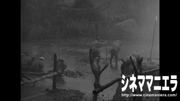 映画『七人の侍』修復後、クライマックス土砂降り雨のシーン
