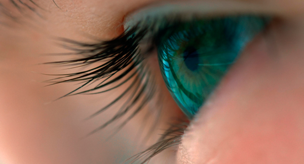 映画『ボヤージュ・オブ・タイム』（テレンス・マリック監督）