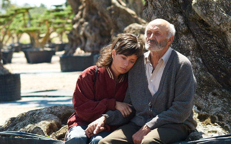 オリーブの樹は呼んでいる（原題 El Olivo｜英題 The Olive Tree ）