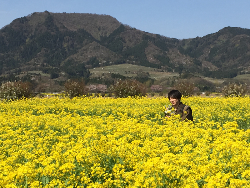 菜の花畑の田吾作どん