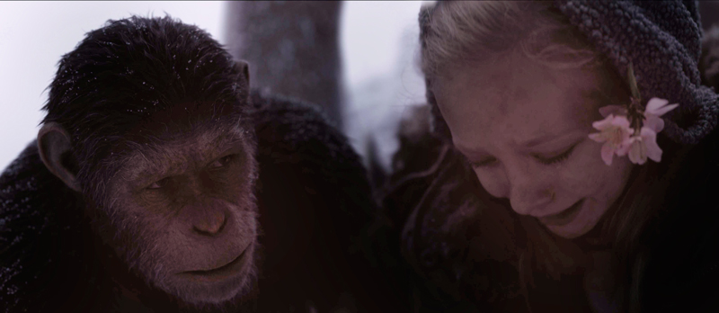 猿の惑星：聖戦記（グレート・ウォー）（原題 War for the Planet of the Apes ） - 映画予告編