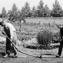 コメディ『水を撒かれた水撒き人』（１８９５）ルイ＆オーギュスト・リュミエール兄弟が“シネマトグラフ”で撮影した