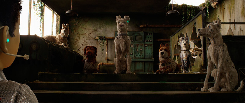 アタリ少年がたどりついた先は？、映画『犬ヶ島』より