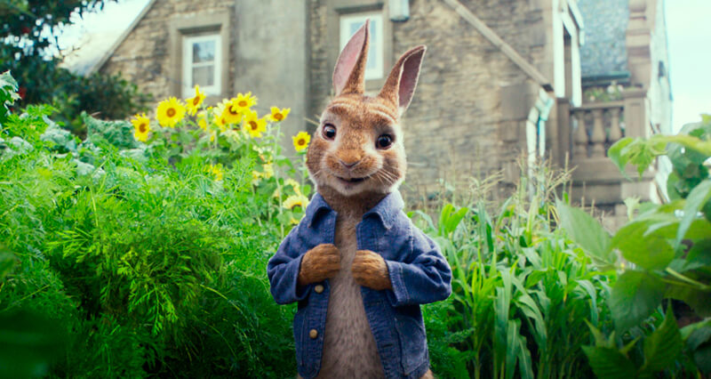 ピーターラビット（Peter Rabbit） - 映画特報