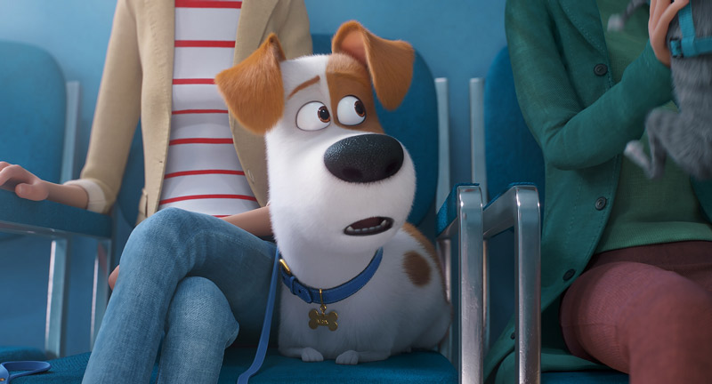 映画『ペット2』（原題 The Secret Life of Pets 2 ）