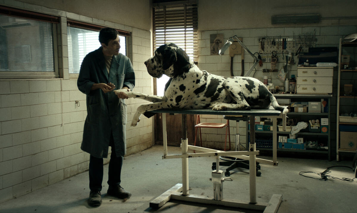 ドッグマン(原題 DOGMAN )